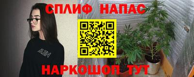 прущая мука Сланцы