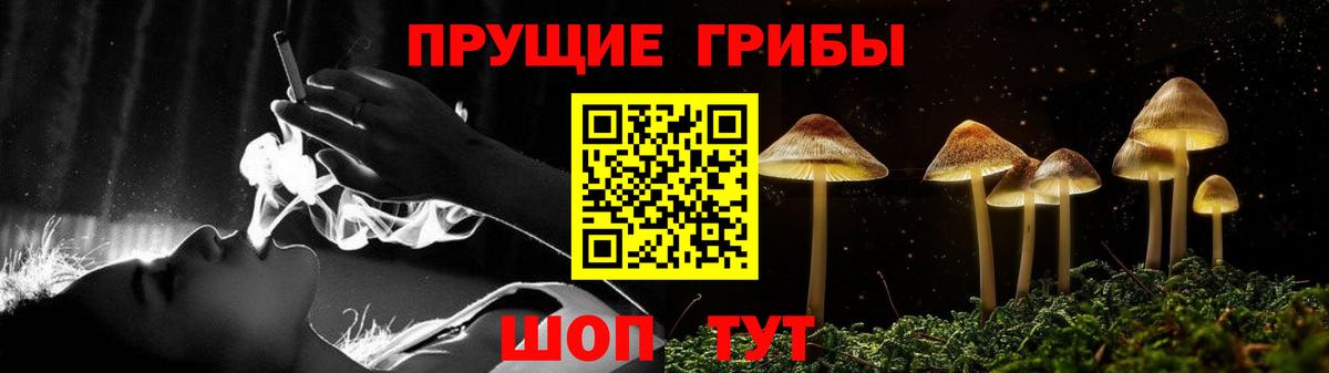 купить наркотики цена  Галлюциногенные грибы MAGIC MUSHROOMS  Оренбург  Вход с VPN  Галлюциногенные грибы мицелий 